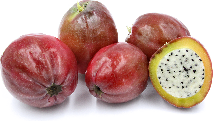 Peruvian Apple Cactus Fruit picture