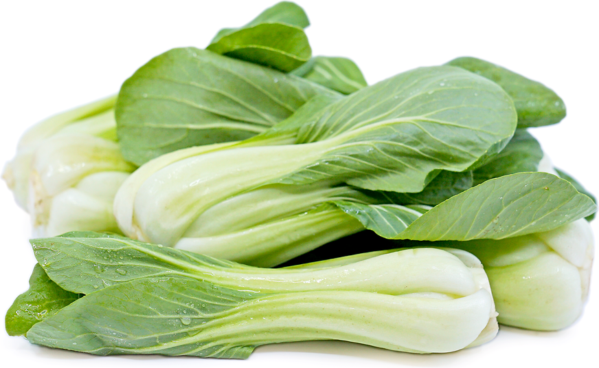 Shanghi Bok Choy picture