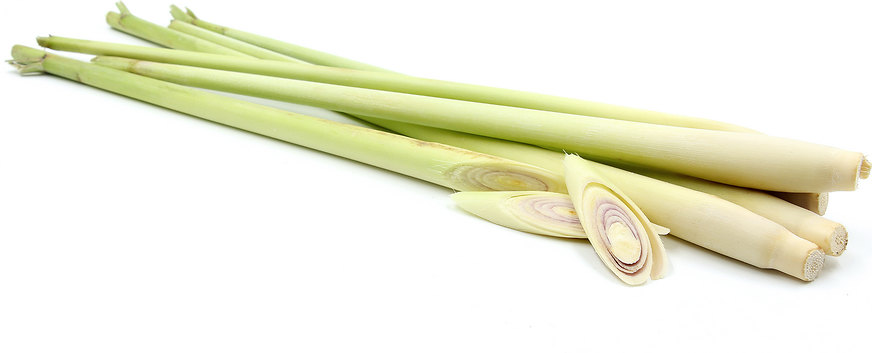 Lemongrass picture