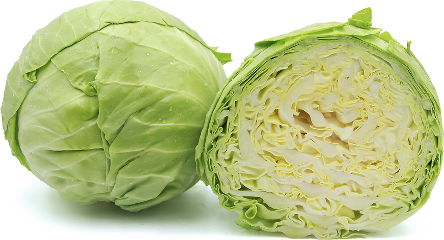 Green Cabbage picture