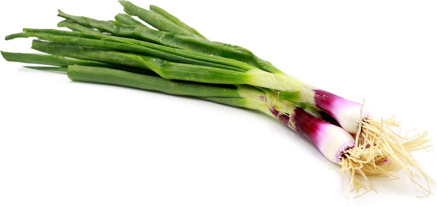 Red Spring Onions picture