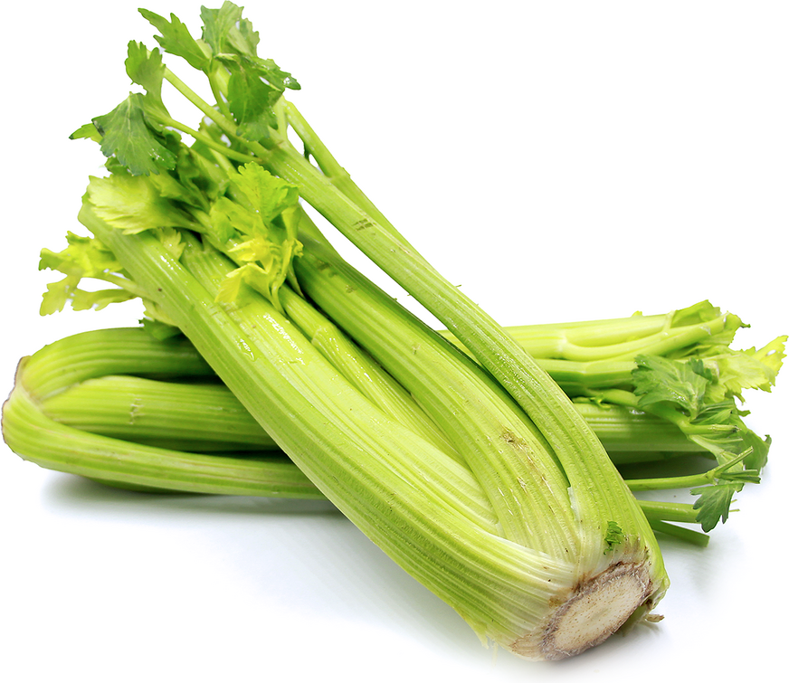 Celery picture