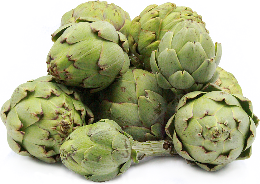 Baby Green Artichokes picture