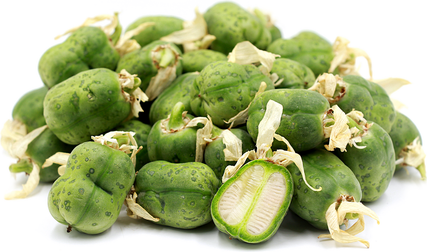 Yucca Cactus Buds picture