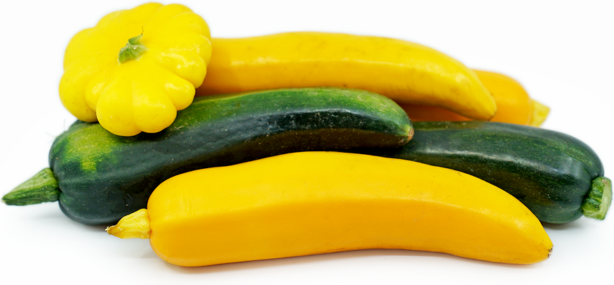 Mixed Summer Squash picture