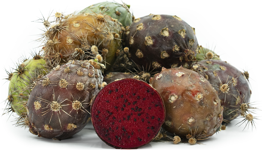 Organ Pipe Cactus Fruit picture