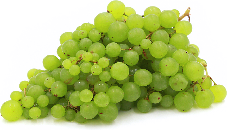 FM Grapes Globe picture