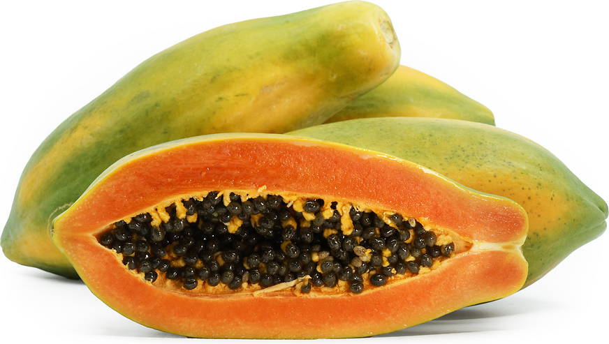 Tainung Papaya picture