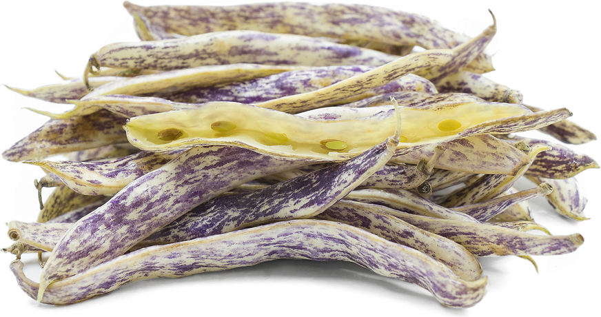 Dragon Tongue Beans picture