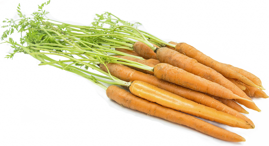 Orange Carrots picture