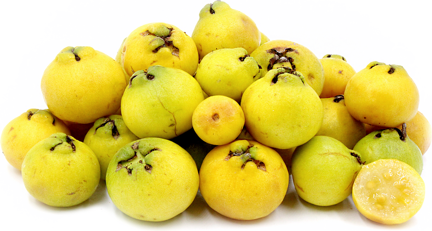 Lemon Guavas picture