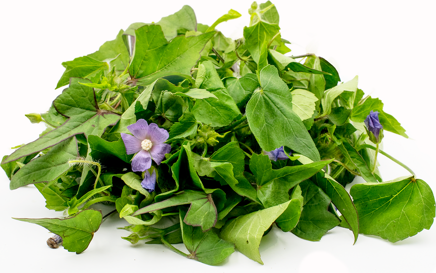 Marsh Mallow Greens picture