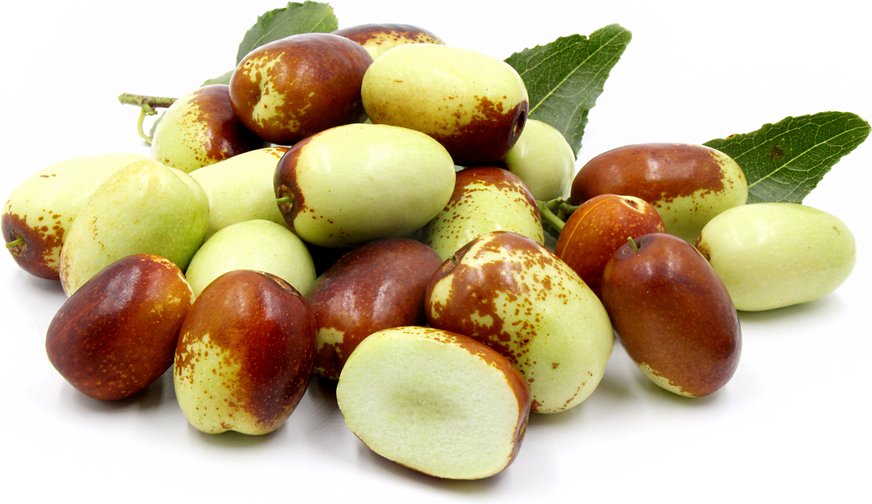 G1 1183 Jujube picture