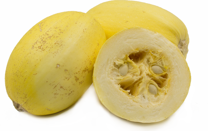 Spaghetti Squash picture