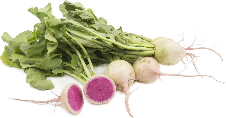 Watermelon Radish picture