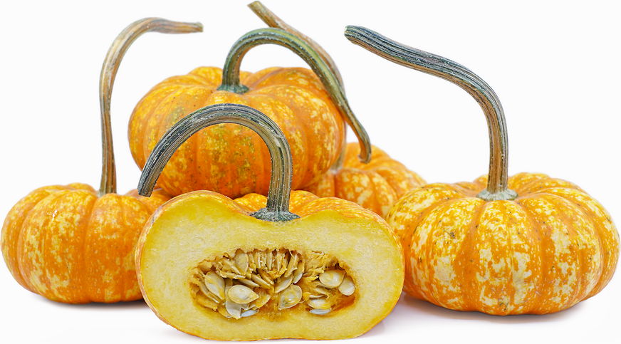 Sparkler Pumpkins picture