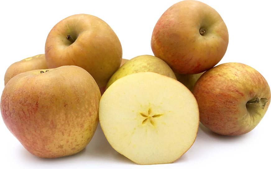 Reinette Apples picture