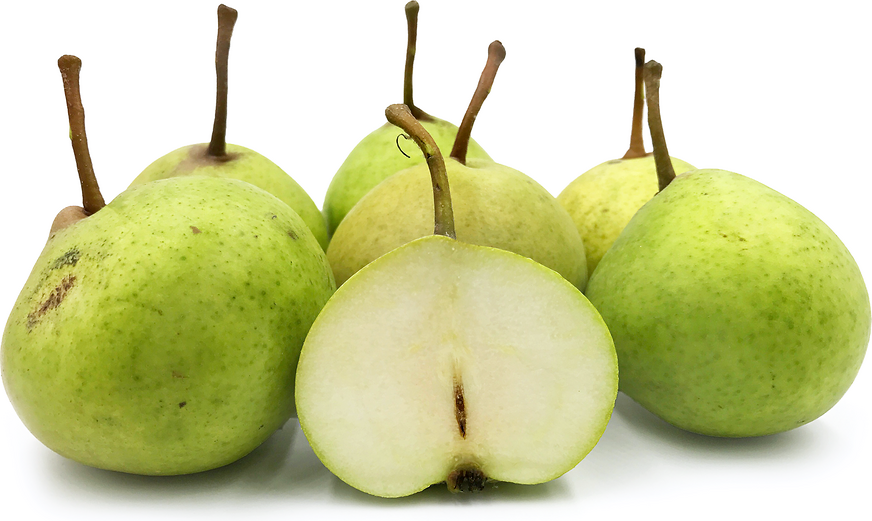 Belle Ole Bruxelles Pears picture