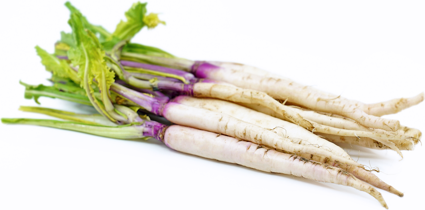 Hinoa Kabu Turnips picture