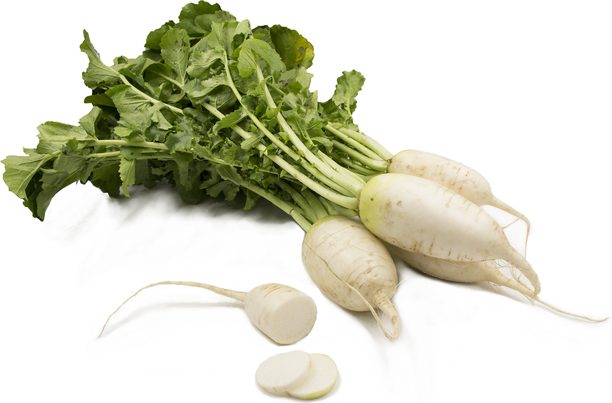 White Daikon Radish picture