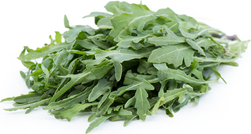 Arugula picture