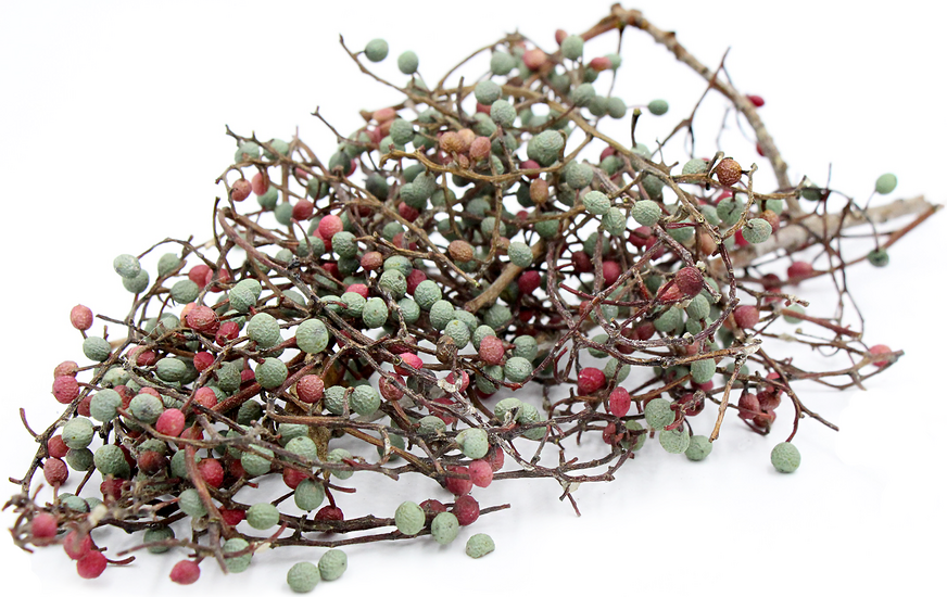 Chinese Pistachio Nuts picture