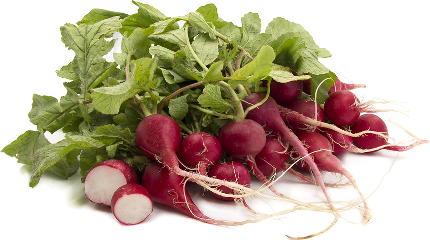 Red Radish picture