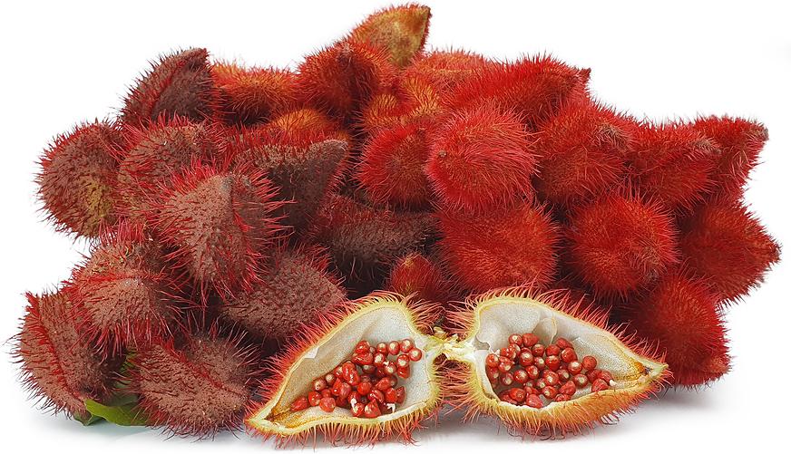 Annatto Seeds picture