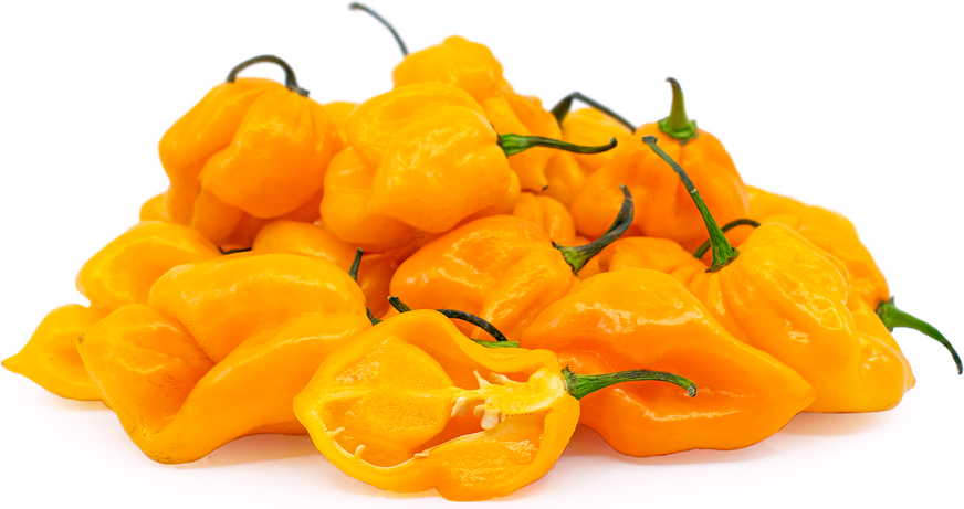 Yellow Scorpion Peppers picture