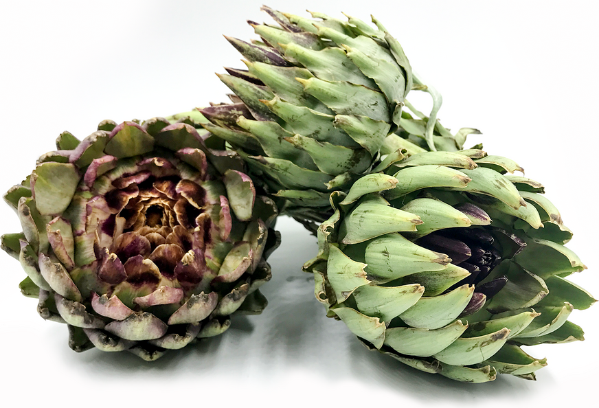 Japanese Artichokes picture