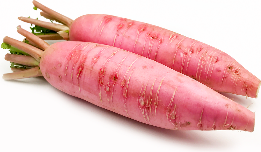 Akane Radish picture