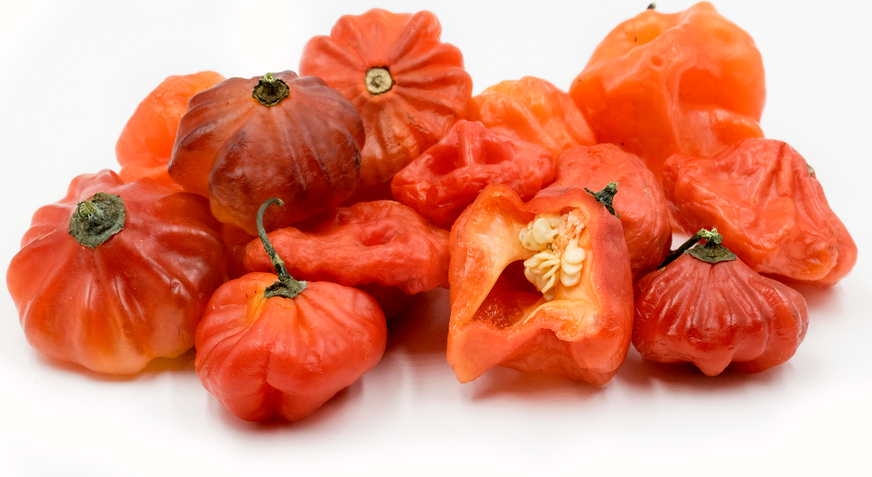 Red Cachucha Chile Pepper picture