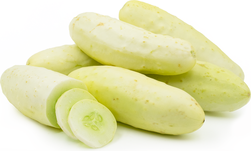 Blonde Cucumbers picture
