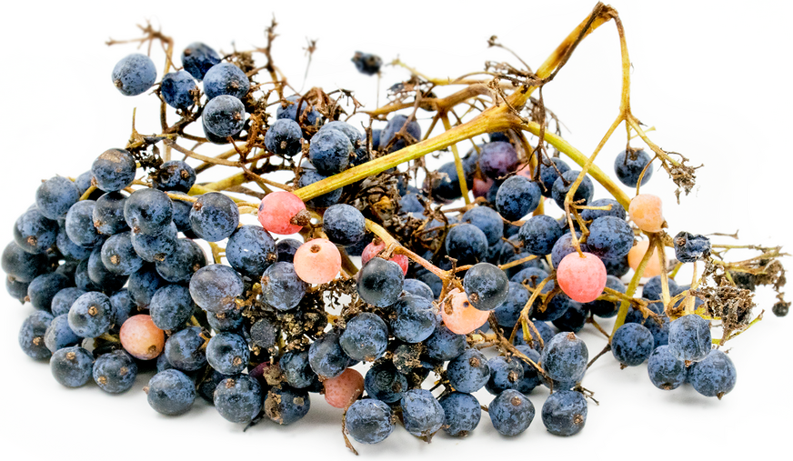 Highbush Cranberries picture
