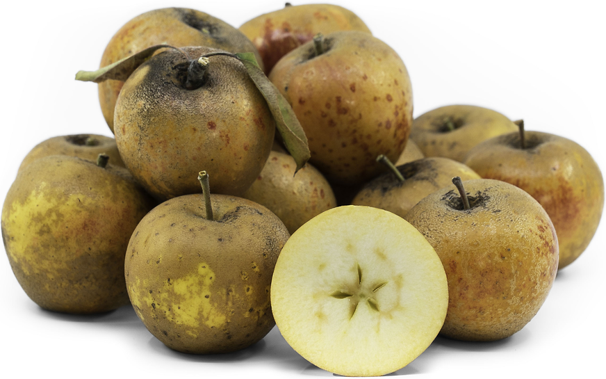 Norfolk Royal Russet Apples picture
