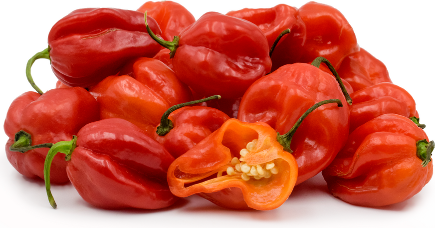 Red Scotch Bonnets Chile Peppers picture