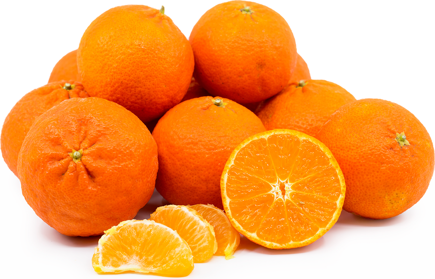 Tango Tangerines picture