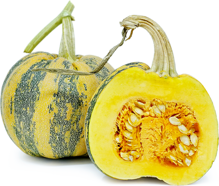 Tonda de Pandana Squash picture