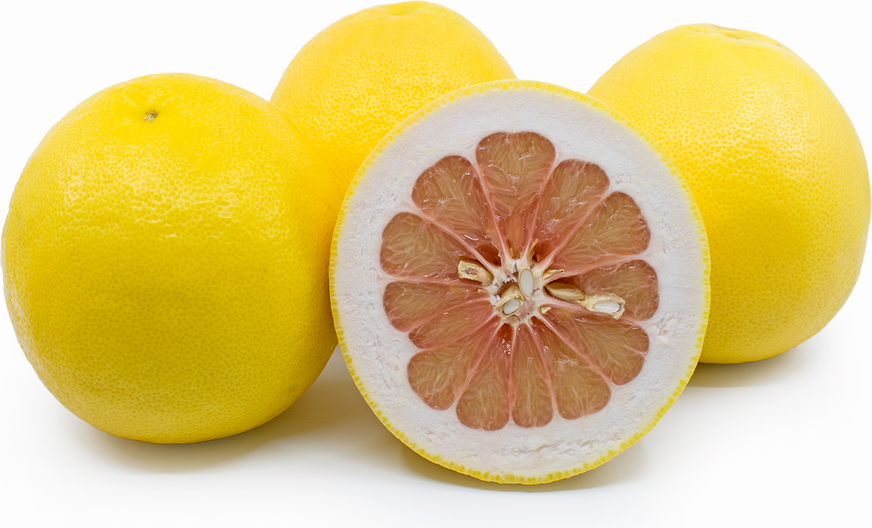 Rubadub Grapefruit picture