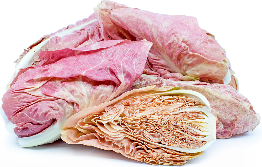 Rosalba Radicchio picture