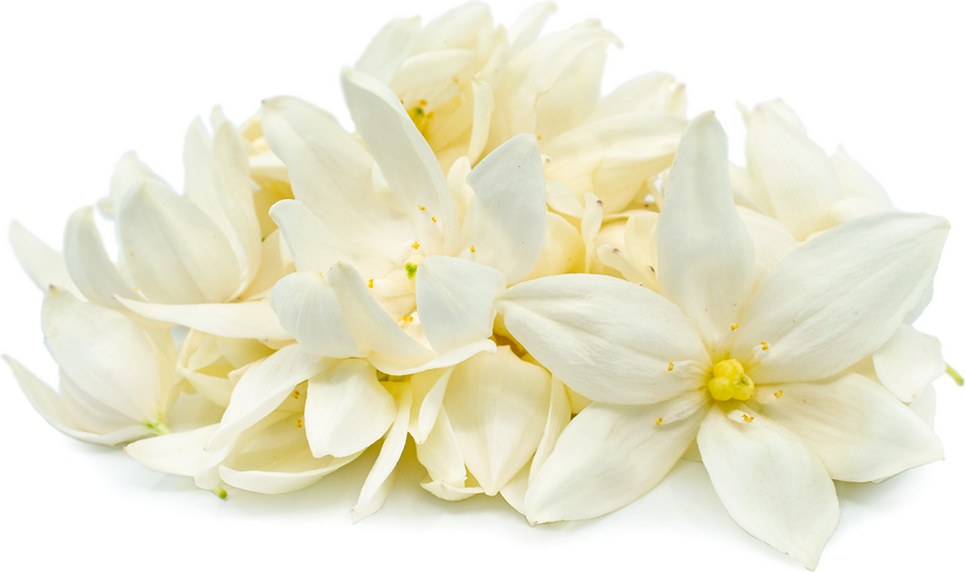 Flor Izote (Palm Flowers) picture