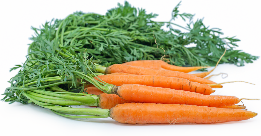 Carrots Bunch Orange picture