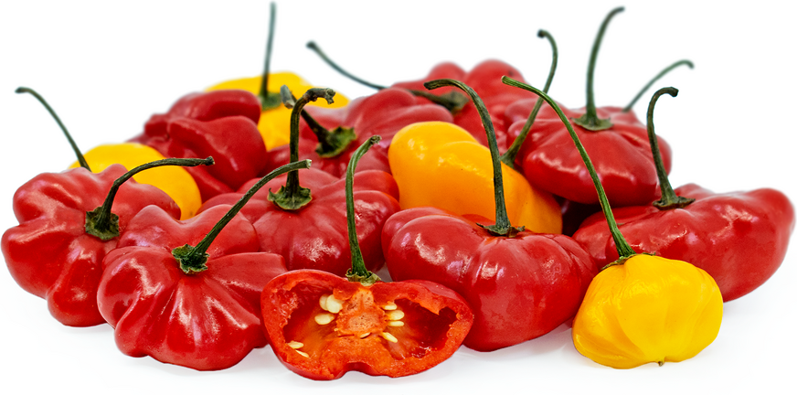 Aji Starfish Chile Peppers picture