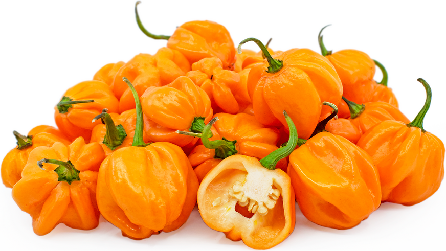 Orange Freeport Scotch Bonnet Chile Peppers picture