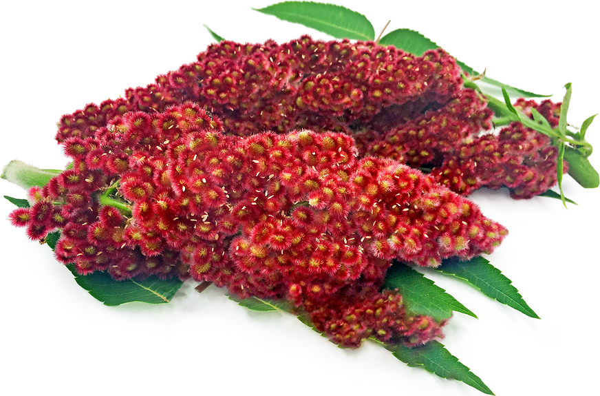 Sumac picture