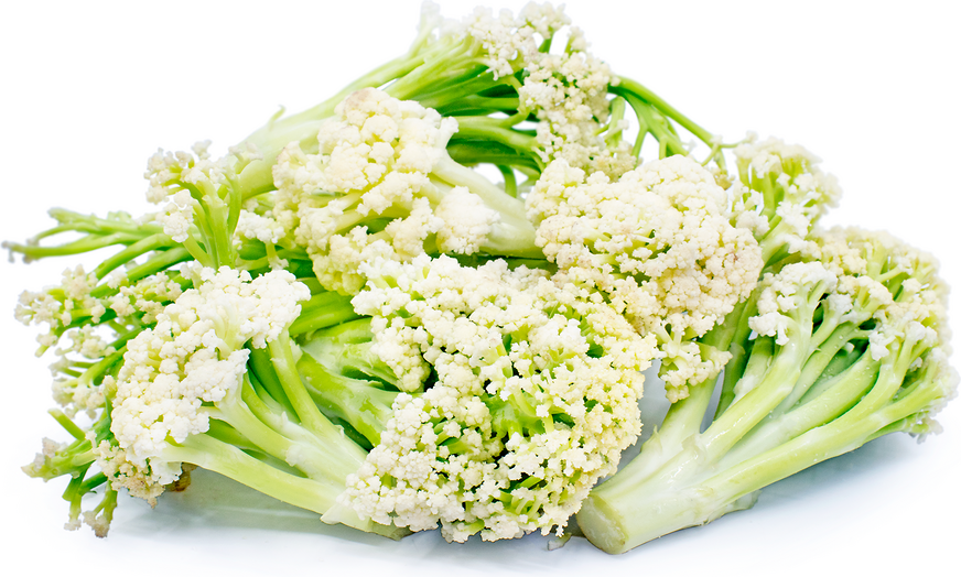 Sweet Stem Caulilini Cauliflower picture