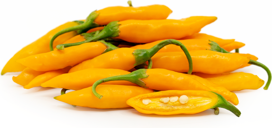 Criolla Sella Chile Peppers picture