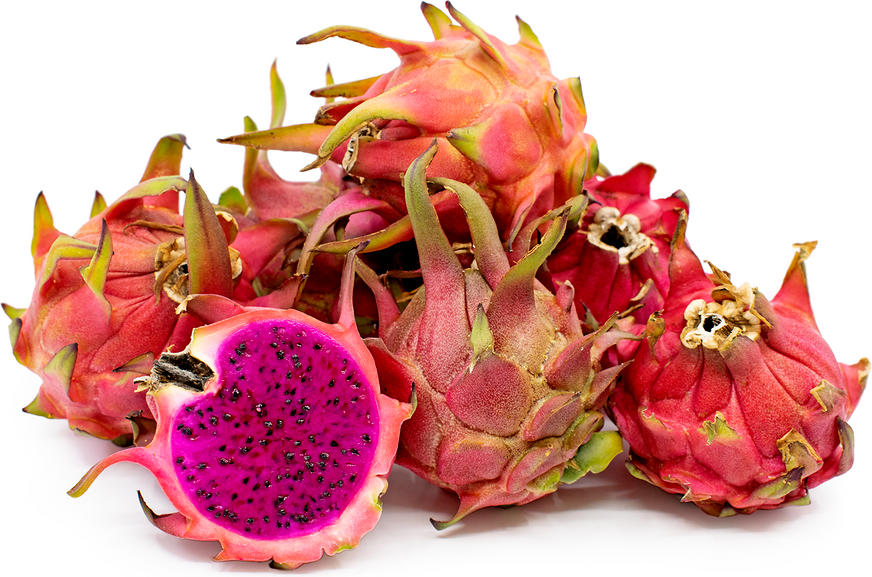 Robles Red Dragon Fruit picture