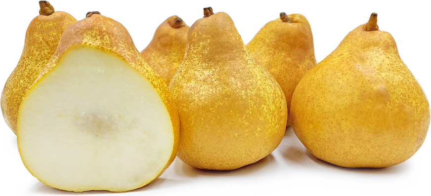 Aurora Pears picture