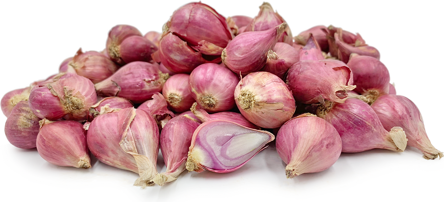 Red Shallots picture